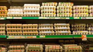 Uova con salmonella: marchi e lotti ritirati in Italia