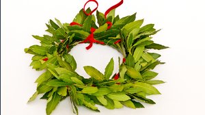  Tesi di laurea copiata: cosa si rischia e come riconoscere il plagio