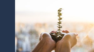 L'Italia batte l'UE sull'economia circolare, ma resta indietro sullo sviluppo delle imprese