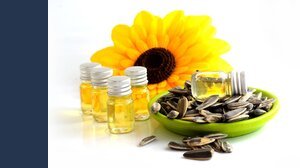 Bonus agricoltura 2025, oltre 500 euro a ettaro per i girasoli