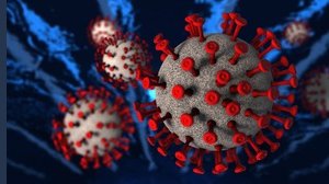 Trovati 6 nuovi tipi di coronavirus in Asia