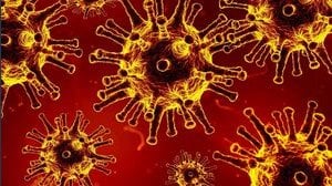 Arriva la nuova variante del Covid: con 32 mutazioni potrebbe resistere al vaccino