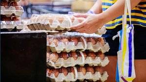 Un terzo della produzione mondiale di uova arriva da un solo Paese 