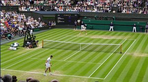 Montepremi Wimbledon 2026, il prize money di chi vince (e di chi partecipa)