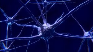 Neuralink: cos'è e di cosa si occupa l'azienda di Elon Musk per la fusione uomo-macchina