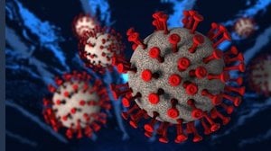 Il coronavirus è meno capace di riprodursi: uno studio spiega perché
