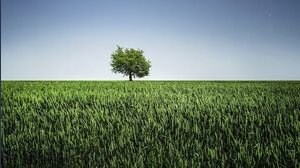 Come passare da terreno agricolo a edificabile