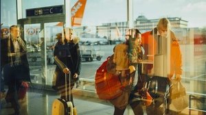 Le rifiutano l'imbarco. E allora abbandona il cane in aeroporto	