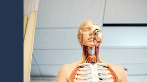 Come diventare fisioterapista: laurea, guadagno e mansioni