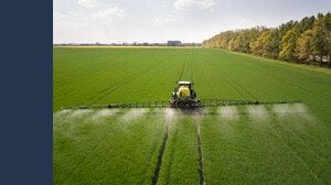 Bonus agricoltura 2025, oltre 1.000 euro a ettaro per questa coltivazione