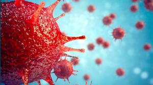 Yaravirus: cos'è il nuovo virus scoperto in Brasile
