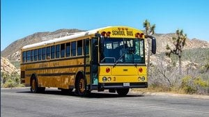 Studente con disabilità in gita scolastica: chi deve accompagnarlo?
