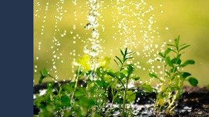 Ecco come stanno cambiando le strategie dei fondi ESG