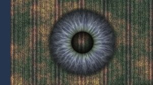 Digital Services Act: l'arma dell'UE per controllare l'informazione e censurare il dissenso