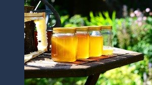 Bonus agricoltura per chi fa 'riposare' la terra, in arrivo fino a 600 euro per ettaro