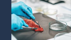Com'è fatta la carne sintetica e perché in Italia potrebbe arrivare lo stesso