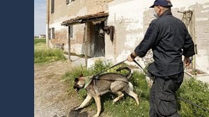 Agricoltura, intensificati i controlli dei Carabinieri. Ecco a cosa stare attenti