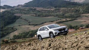 I sostenitori delle auto ibride dovrebbero scommettere sulla rinascita di questa materia prima