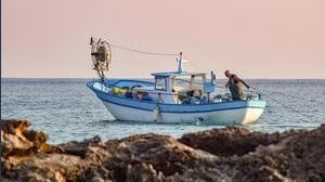 Bandi Ministero dell'Agricoltura, fino a 3 milioni di euro per la filiera ittica