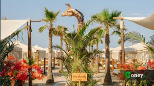 Quanto costa andare al Twiga? I prezzi della spiaggIa di Forte dei Marmi