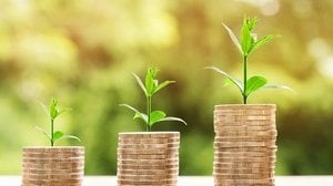 Come guadagnare online, 10 metodi legali per fare soldi sicuri