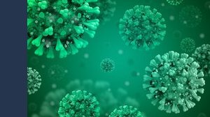 “L'Europa rischia nuove epidemie” dopo il Covid: l'Ecdc lancia l'allarme