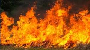 Incendio doloso o colposo, cosa rischia chi lo provoca?