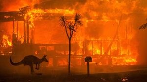 Incendi Australia, cosa sta succedendo? I motivi della catastrofe