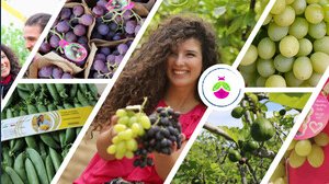 Chi è Francesca Lonigro di Lonigro Fruit, e quanto guadagna?