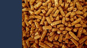 Perché il prezzo del pellet aumenta?