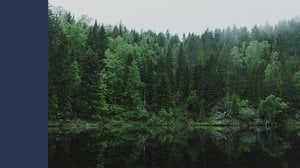 Cervi e cascate da sogno. Puoi ammirarli in questo parco naturale a 3 ore da Roma
