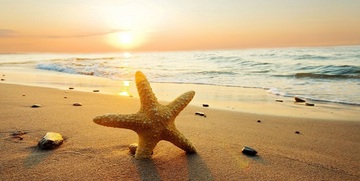 Buona estate 2020: frasi e immagini migliori per WhatsApp e Facebook