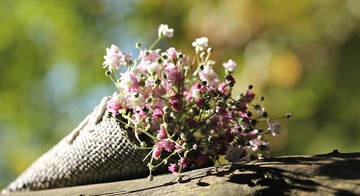 Come mandare fiori a domicilio: siti e app migliori 