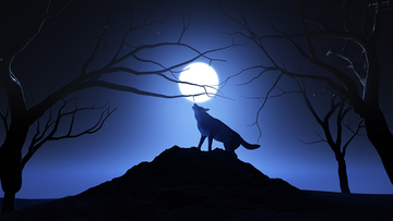 Luna del lupo: cos'è, orario e come vederla