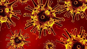 Perché la variante Delta è più contagiosa