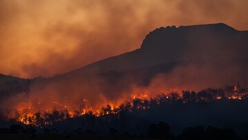 Quanto ci costano gli incendi estivi: il bilancio delle spese ti sorprenderà