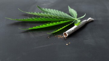 Quali sono i Paesi europei pronti a legalizzale la cannabis (non l'Italia)