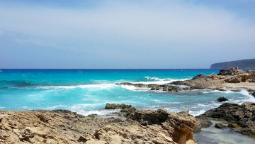 Nuove specie si riversano nei mari italiani mentre le acque si riscaldano