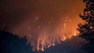In Italia abbiamo superato i record di incendi