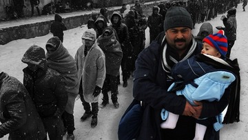 Lo conferma l'OCSE. L'immigrazione ha contribuito in modo significativo alla crescita economica dei Paesi più ricchi