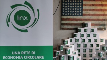 Il fenomeno Linx, un miraggio di dinamicità in un deserto di stasi economica