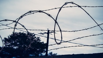 Dap: cos'è, significato, funzioni e organizzazione