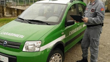 Corpo Forestale nella Polizia di Stato: nasce la Polfor?