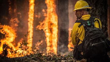Incendio devasta la California, 8.000 evacuati: cosa sta accadendo