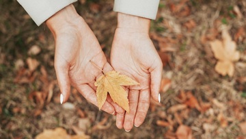 Quando arriva l'autunno 2025, data e ora dell'equinozio di fine estate