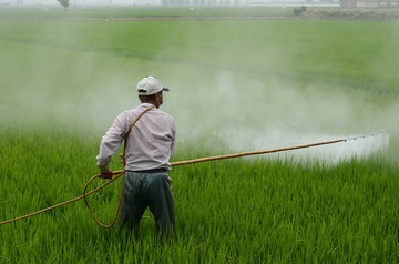 Allarme pesticidi. Il nuovo Regolamento Europeo per la riduzione dei controlli mette a rischio salute e ambiente