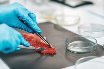 È giusto vietare la carne sintetica in Italia? Il sondaggio