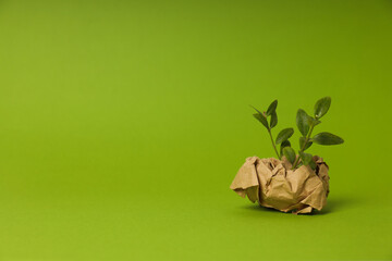 Mutui green, cosa sono e quanto si risparmia