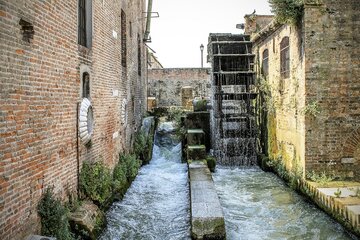 Questo giardino botanico è il più antico del mondo ed è a 3 ore da Milano