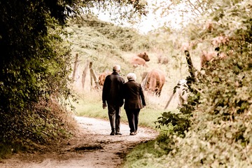 Un pensionato di 73 anni investe in un escavatore. Adesso guadagna 3.500 euro al mese